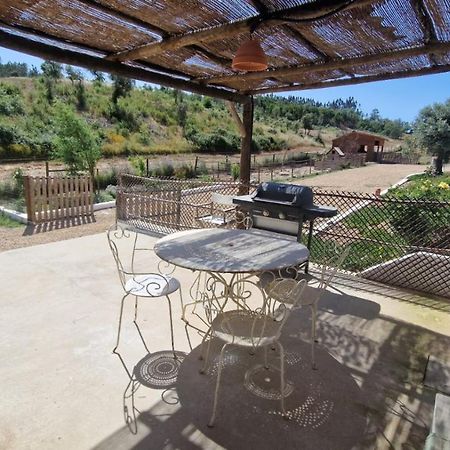 Gecko Pego Longo Villa Сао Луис Екстериор снимка